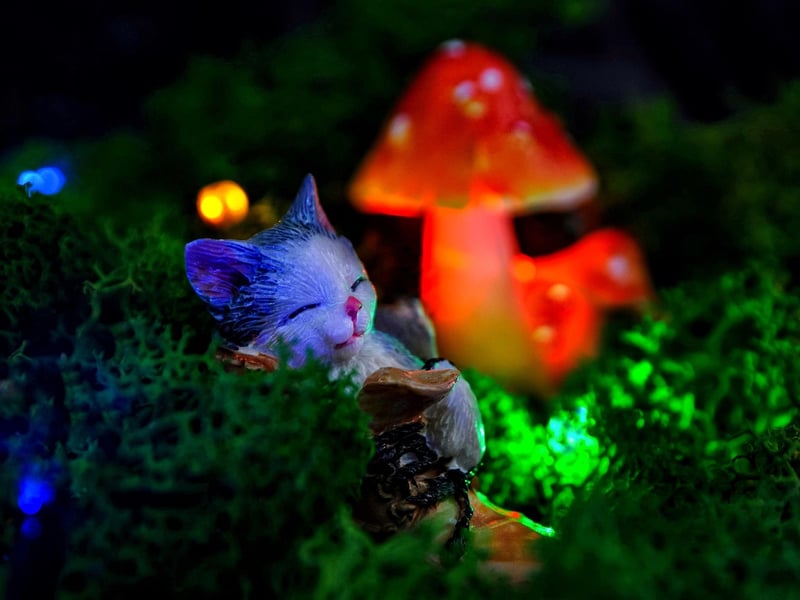 Magical Woodland Decor