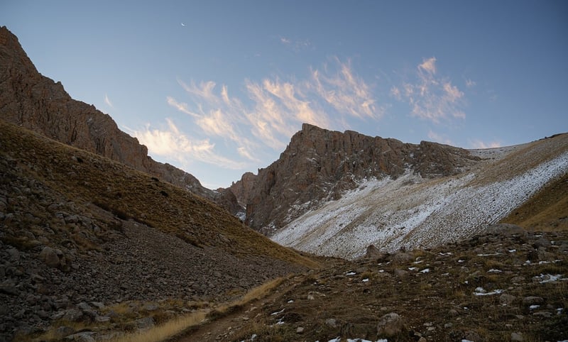 Forest-Inspired Headpiece Image